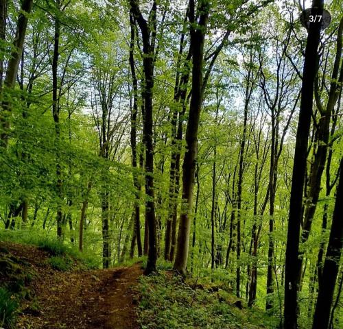 Escale Chambre d'hôtes Au coeur du vieux Profondeville entre Namur et Dinant