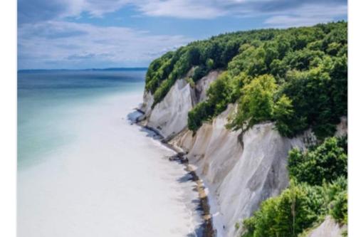NEU! FeWo unter Reet am Wald auf Rügen (NEU! FeWo unter Reet am Wald auf Rugen) in Lohme