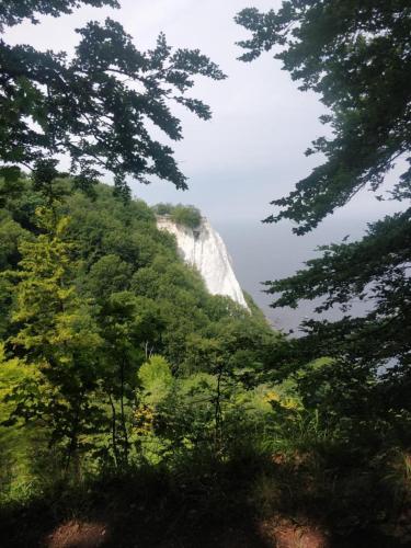 NEU! FeWo unter Reet am Wald auf Rügen (NEU! FeWo unter Reet am Wald auf Rugen) in Lohme