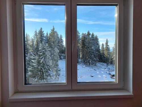 Apartman Masa 414 , Beli Meda, Sunčana planina, Centar