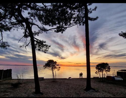Strand, Villa Petit-Père - à 400m de la plage (Villa Petit-Pere - a 400m de la plage) in Lanton