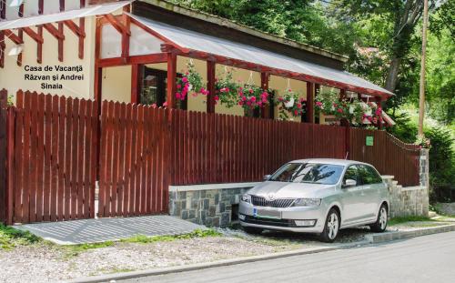 Casa de Vacanta Razvan si Andrei - Sinaia