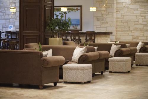 Cactus Royal - image 11