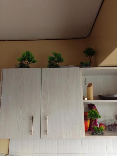 Classic Suite Apartment in 中央商業區