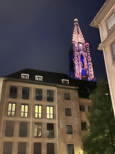 Les toits de Gutenberg, Strasburg
