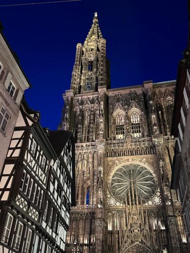 Les toits de Gutenberg, Страсбург (фото 3)