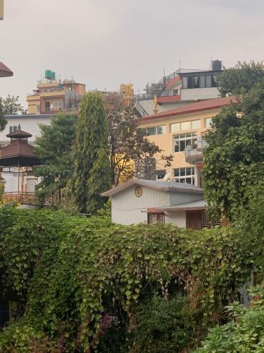 Osho Gaurishankar Meditation Center - image 2