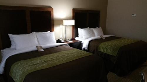Queen Room with Two Queen Beds