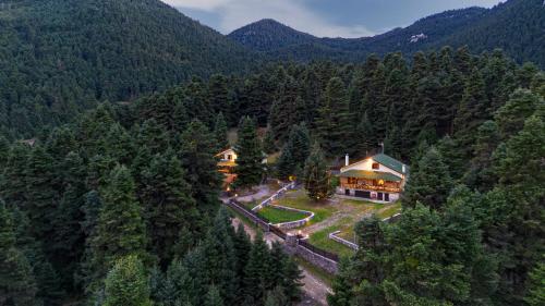 Dandy on the hill Chalet Artemis - Fir Forest - Jeep & Nature Lovers - Eptalofos