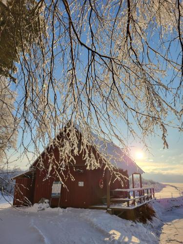 Veldemani puhkemaja