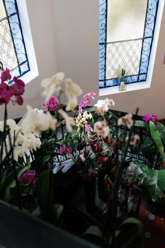 Orchid House Polanco Orchid House Polanco