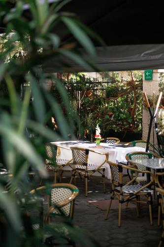 Orchid House Polanco Orchid House Polanco