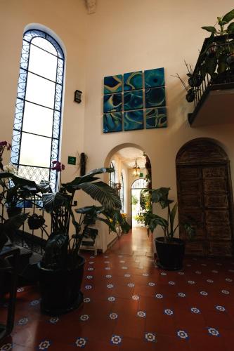 Orchid House Polanco Orchid House Polanco