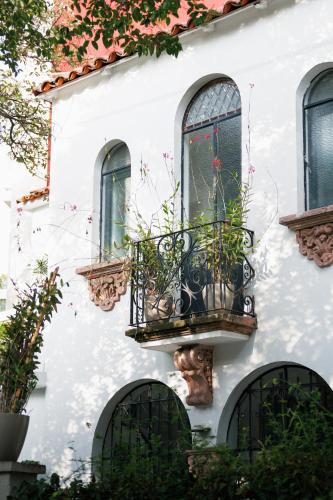 Orchid House Polanco Orchid House Polanco