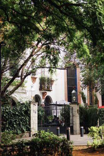 Orchid House Polanco Orchid House Polanco