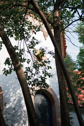 Orchid House Polanco Orchid House Polanco