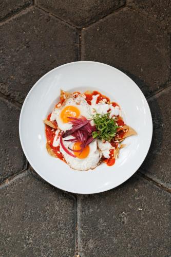 Orchid House Polanco Orchid House Polanco