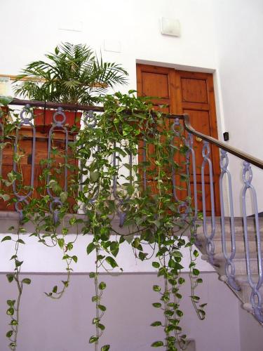 Bejárat, Residenza Le Rondini near Akadémiai Képtár