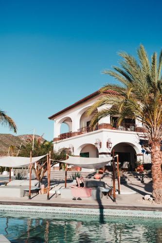 Orchid House Baja in La Paz, Mexico