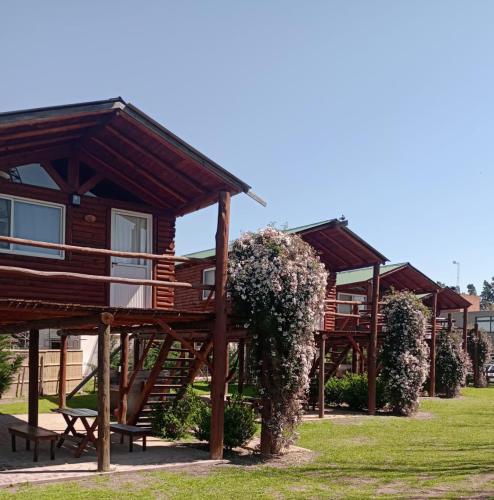 DOS NOGALES