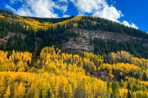 Booth Creek TH A2 in Vail, USA