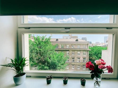 New studio in quiet part of the city center, Bratislava (Foto 10)
