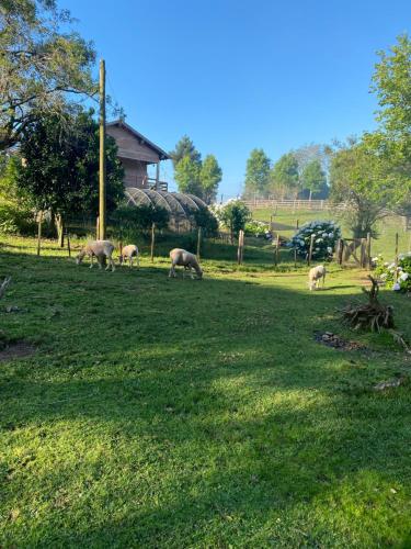 Casa de campo próximo a Gramado