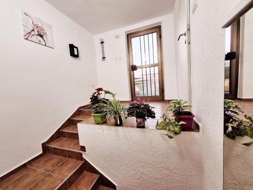 Melody apartment in Masline