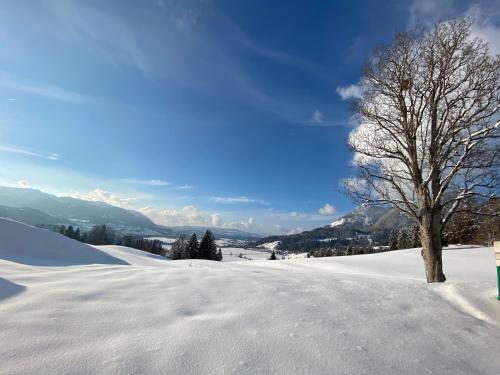 Ferienwohnug Serrvus Ferienwohnug Serrvus