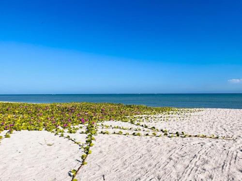 Casa en primera linea de playa con alberca