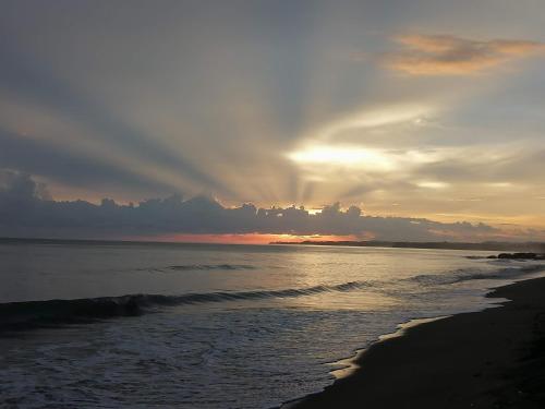 Casas La Floristería