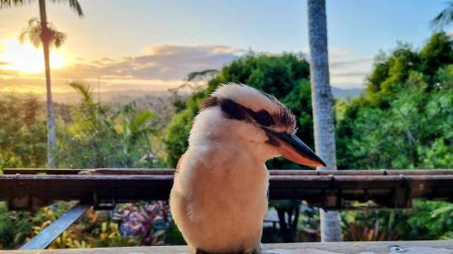 Healing Garden Retreat - Uluwatu