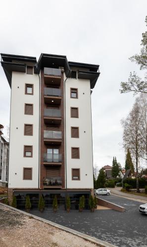 One-Bedroom Apartment image 10