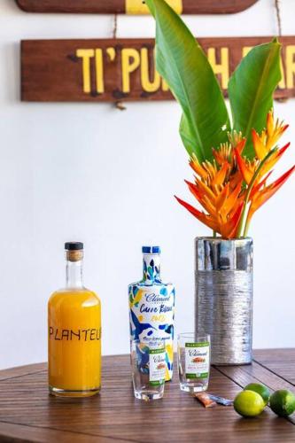 Studio vue mer exceptionnelle