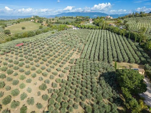 Agriturismo I Getsemani