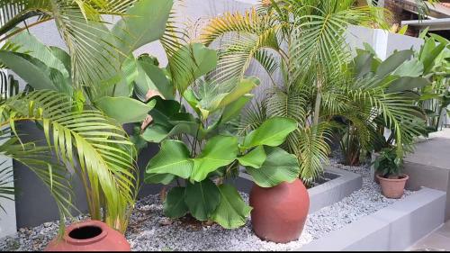 Laman Zavilla Dhoma 2 Laman Zavilla Dhoma 2