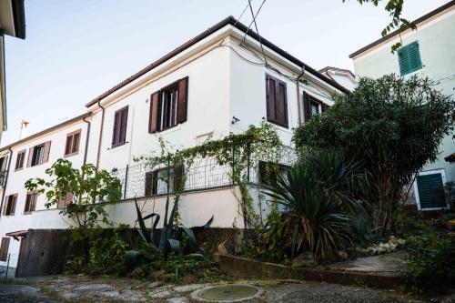 Marylin & Elvis, Muggia (fotografie 6)