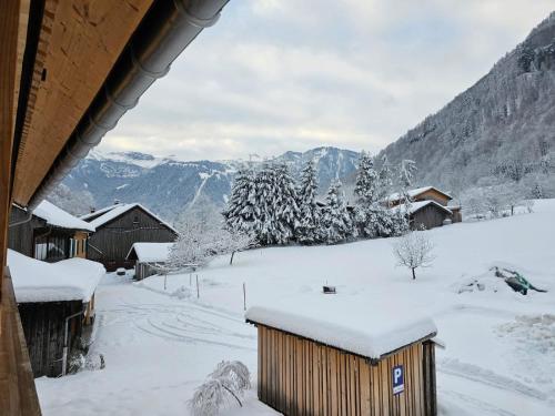 Apartment Klausbrücke mit Bergblick & Infrarot Sauna (Apartment Klausbrucke mit Bergblick & Infrarot Sauna) in Klaus