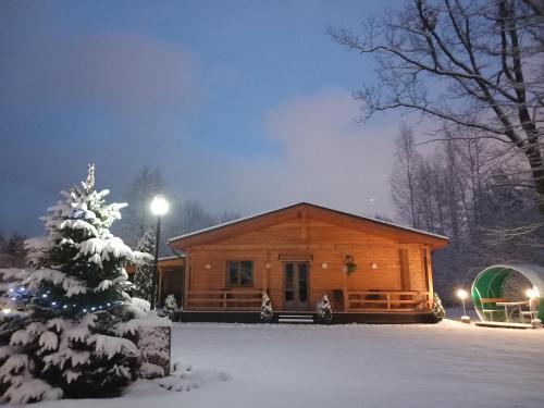 Forest Edge Lodge, Riga (photo 6)