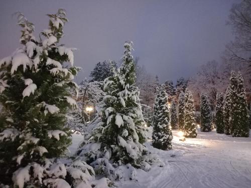 Forest Edge Lodge, Riga (photo 7)
