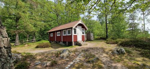 One Bedroom Cottage (3 Adults)