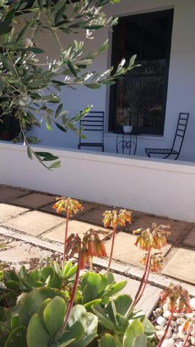 景觀, 6 Olives B&B in 達爾靈