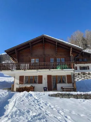 Chalet Bellwald in Ritzingen, Schweiz