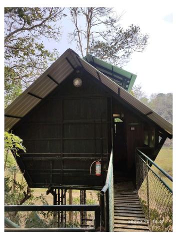 Standard King Room room in Tree House Wayanad
