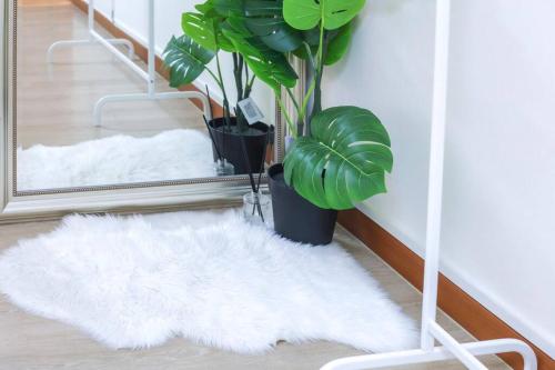 [New]Spellbinding House/ Hongik St. Exit2 10min