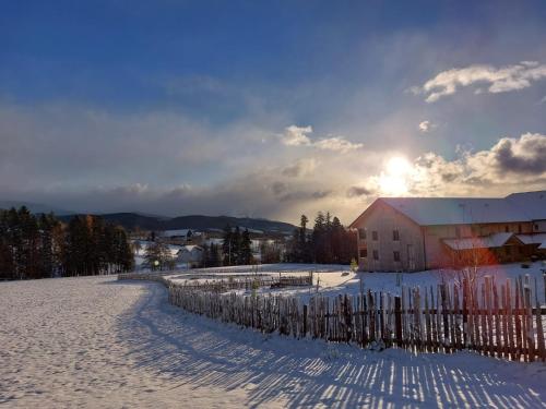  Pircherhof - Adults Only am Bauernhof, Pension in Pöllau bei Grafendorf bei Hartberg