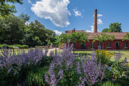  Ca.Stella Farm in Mendrisio