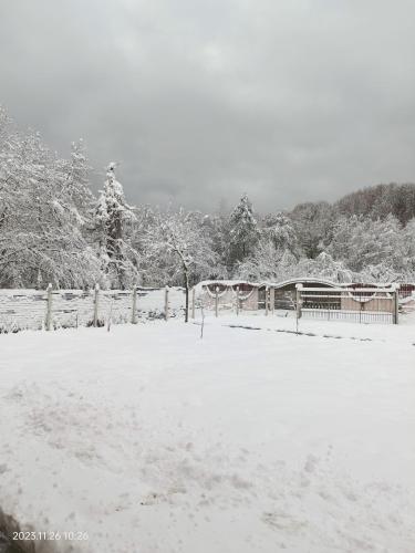 ART House Transylvania , Valea Avrigului , Sibiu