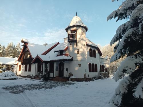 Зовнішній вигляд готелю, Pensjonat Wiking in Старе Яблонське
