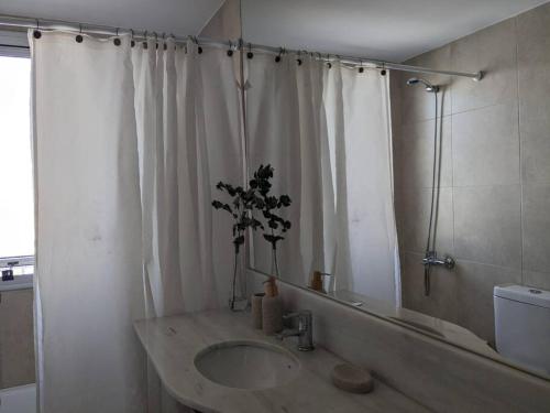 Palermo Grande 4pax, Buenos Aires (photo 6)